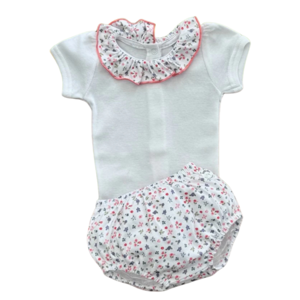 Conjunto luciérnaga