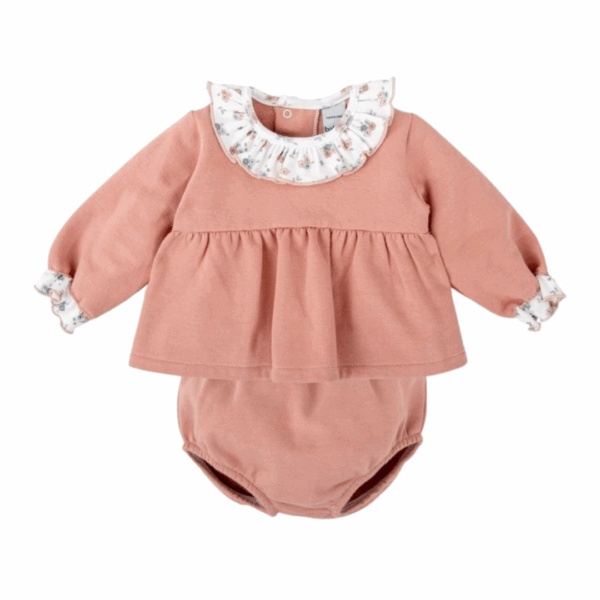 Conjunto ranita refugio volantes