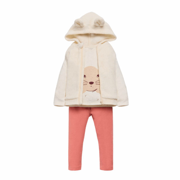 Conjunto ardilla