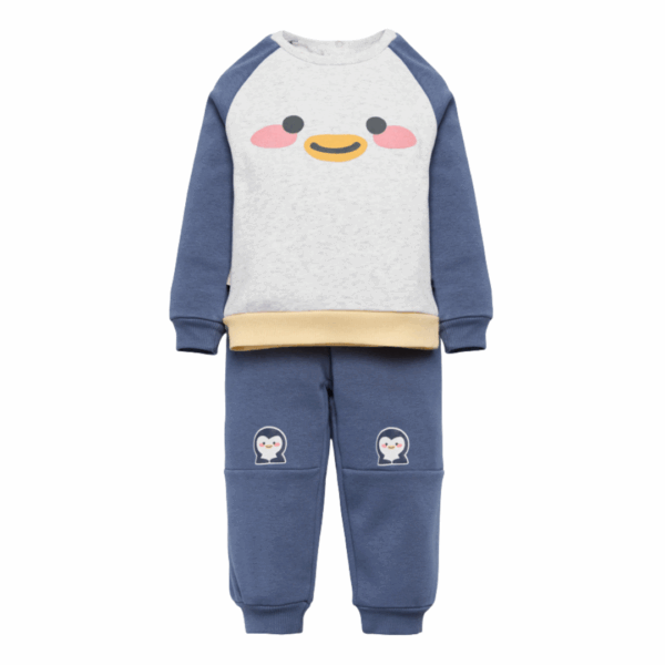 Conjunto pingüino